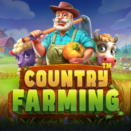 Plataforma de jogos de aposta