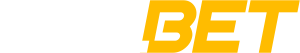 21casino.com - 336bet
